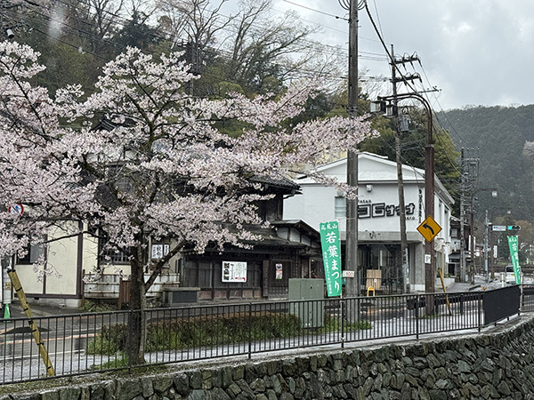 ととのいのあとに、クラフトビールがある風景｜東京・高尾山口「TAKAO