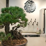 学芸大学唯一のブルワリー「RIKRI BREWING（リクリブルーイング）」。28歳代表が語るビールづくりへのこだわり