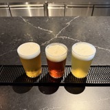 左から、West Coast IPA、Amber Ale、American Lager