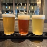 左から、West Coast IPA、Amber Ale、American Lager