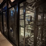 天王洲アイルに「BREWS」オープン｜T.Y.HARBOR BreweryとNOZY COFFEEが交差する新クラフト拠点