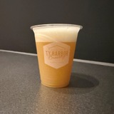 天王洲アイルに「BREWS」オープン｜T.Y.HARBOR BreweryとNOZY COFFEEが交差する新クラフト拠点