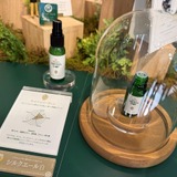 ネルソンソーヴィン