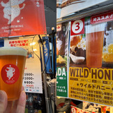 HINO BREWING（滋賀）WILD HONEY／Honey Ale／6.0%