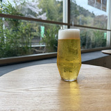 MOUNTAIN BEACH / West Coast Pilsner / 5.0%