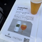Lupulus（ルプルス）／American Pale Ale／5.5%（Barth Haasコラボ）