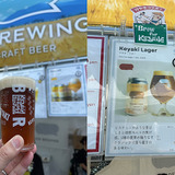 OUR BREWING Keyaki Lager（Vienna Lager）5.0%