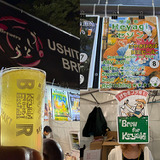 うしとらブルワリー Hayato Saison（Session Saison）4.0%