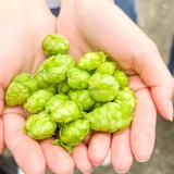 多摩エリアの実力派ブルワリーが集結! せいせき秋のビールまつり2025開催