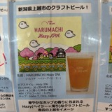 Harumachi Hazy IPA （Hazy IPA）