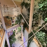 2階から1階を望む
