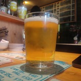 【渋谷・クラフトビール】40種類のラガーが集結！ミッケラーの夏の風物詩「Lager Week 2026」