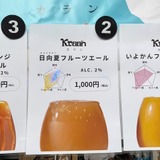 ヒメビール日向夏フルーツエール（Fruit Ale／2.0%）