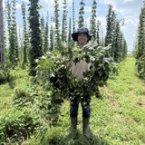 FLORA FERMENTATIONの代表・大西氏