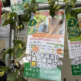HOPJAPAN「けやきメルツェン」