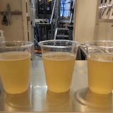 試飲時の「YORIMICHI -梅×和歌山-」