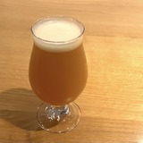 【最新版】札幌のクラフトビールバーおすすめ20選～編集部が実訪問した乾杯ビアスポット～