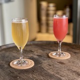 【最新版】札幌のクラフトビールバーおすすめ20選～編集部が実訪問した乾杯ビアスポット～