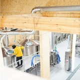 【11月1日~2日】OKUTAMA BEER FEST 2025 ─ 奥多摩で味わう、自然とクラフトの響宴