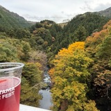 国道411号（青梅街道）橋の上