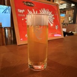 Lower Rhine 5|ABV 5.0%|HALF ¥900