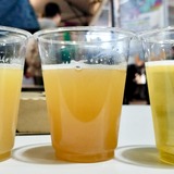 「JAPAN BREWERS CUP 2026」出店ブルワリーにインタビュー!【後編】open air/NOMCRAFT BREWING/NOVORU BREWING/FARMENTRY