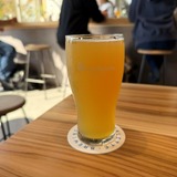 MIXED MEDIA | rye hazy ipa | 6.0%