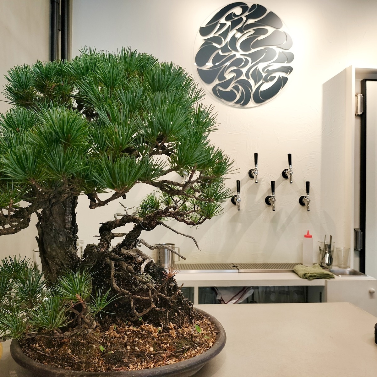 学芸大学唯一のブルワリー「RIKRI BREWING（リクリブルーイング）」。28歳代表が語るビールづくりへのこだわり