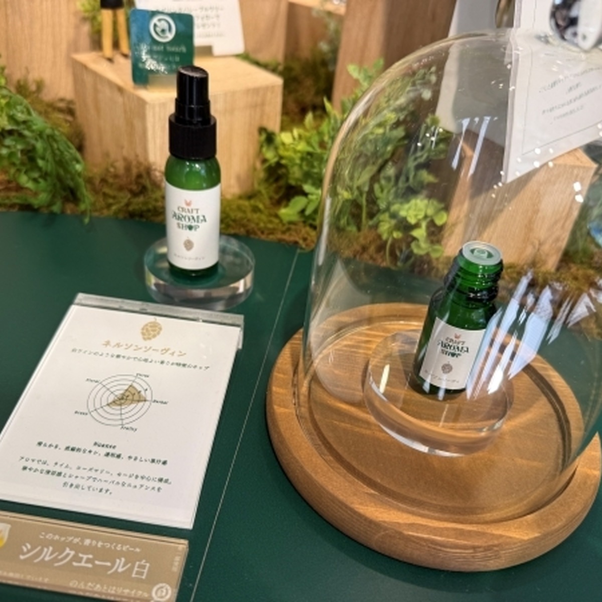 ネルソンソーヴィン