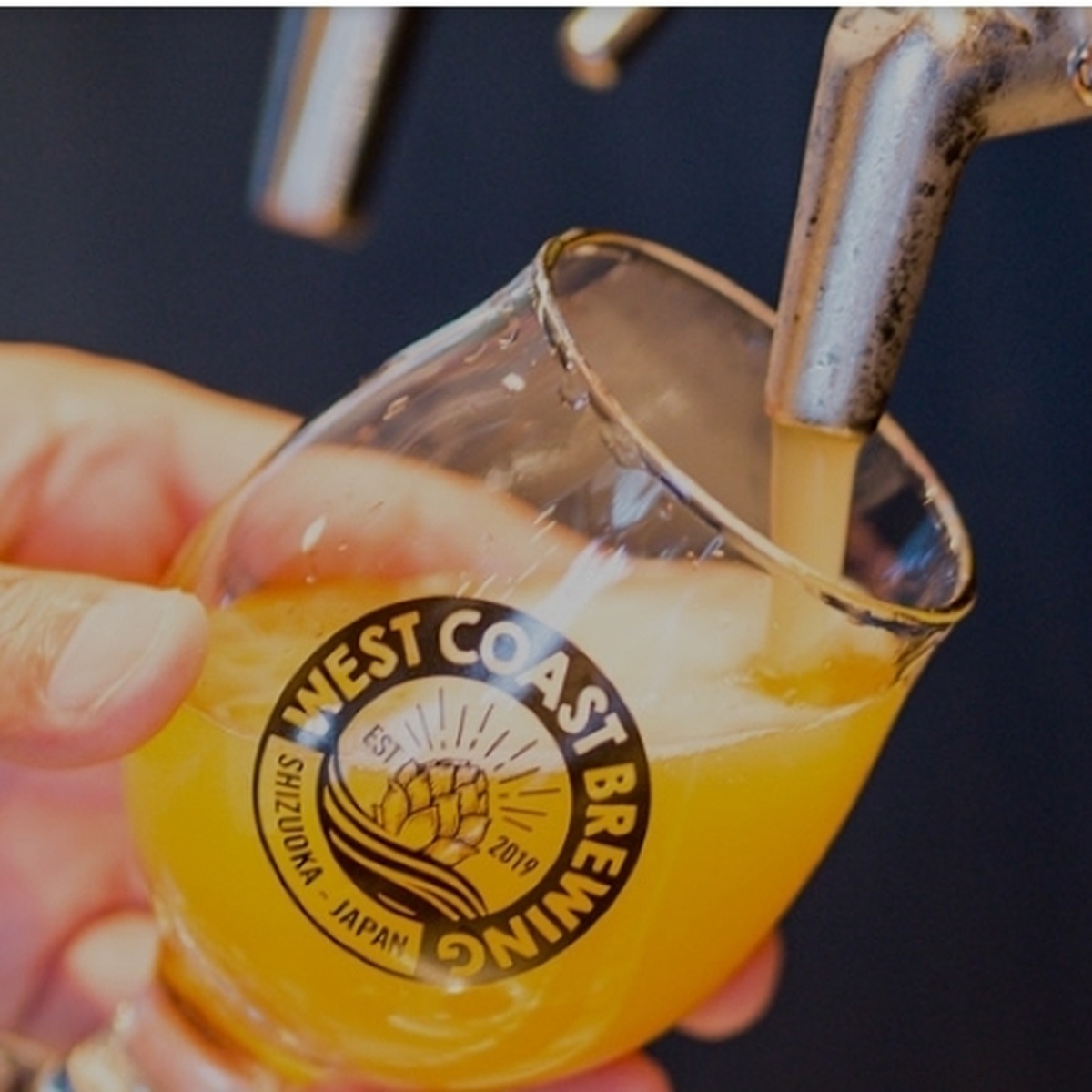 【4月11日～12日】静岡・用宗でクラフトビールと海の幸。「もちむね みなとのビール祭り」開催中、6ブルワリーが集結