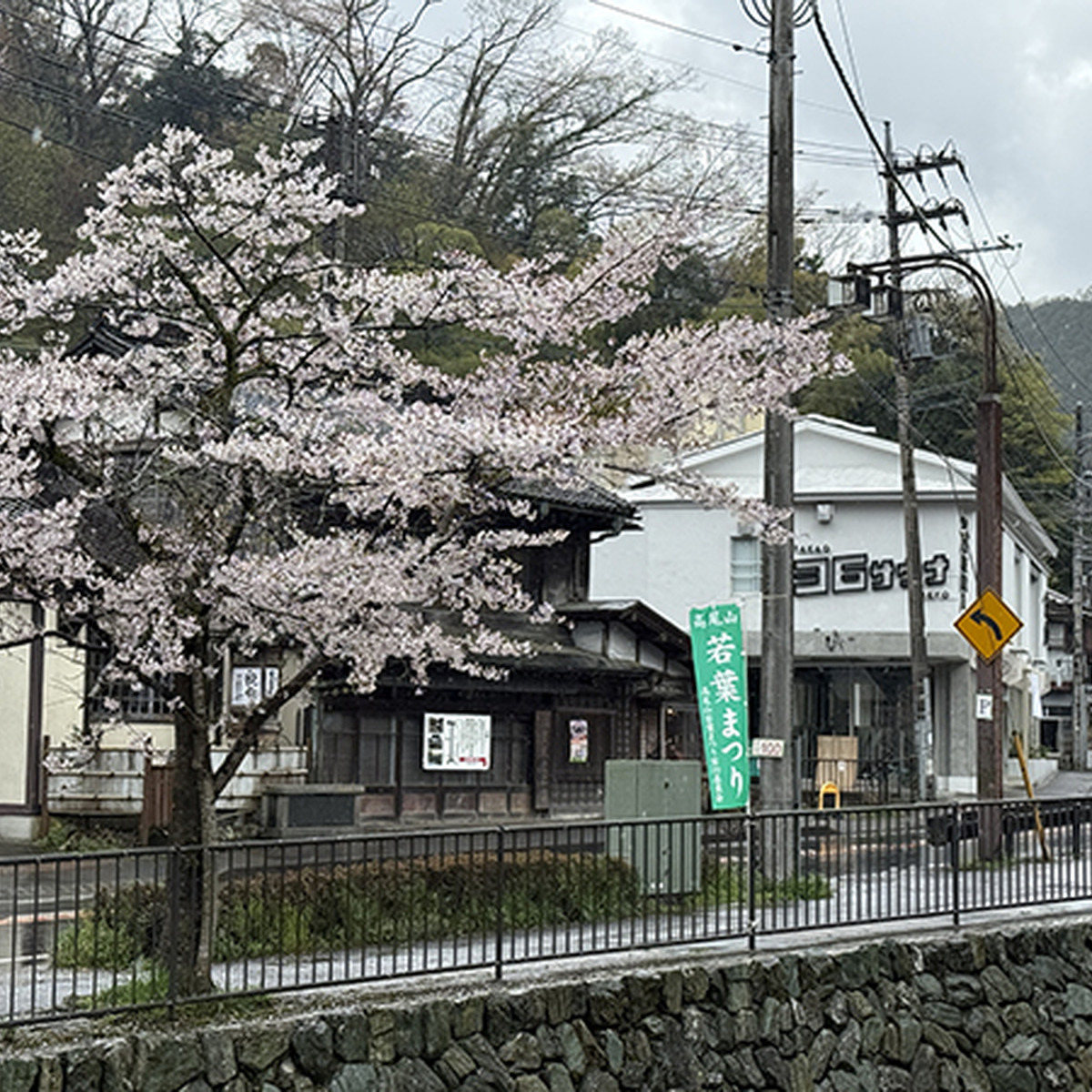 川沿いの桜とTAKAO 36 SAUNA