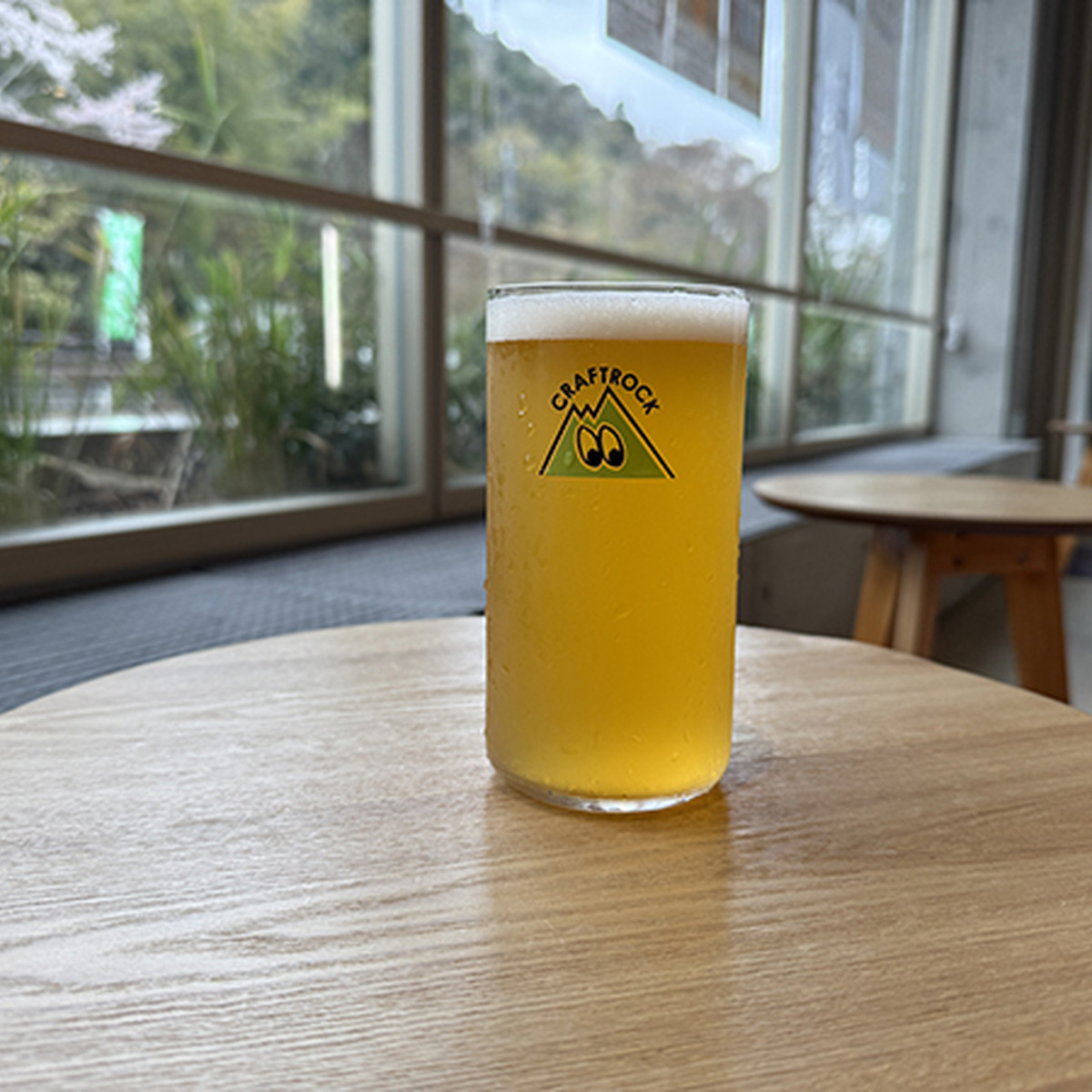 SAUNA BEER / Fruit Ale / 5.0%