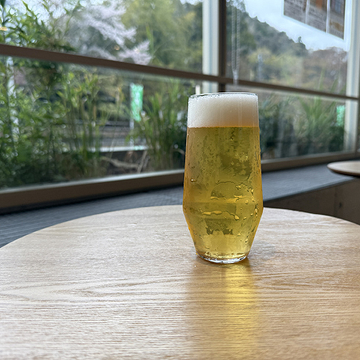 MOUNTAIN BEACH / West Coast Pilsner / 5.0%