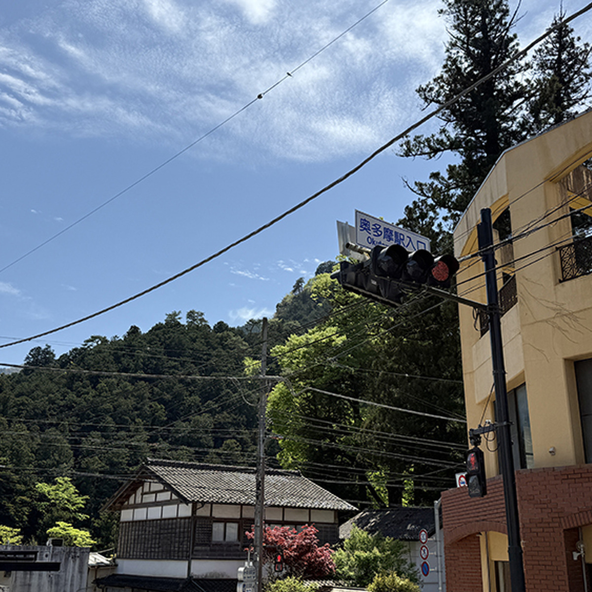 奥多摩の新緑