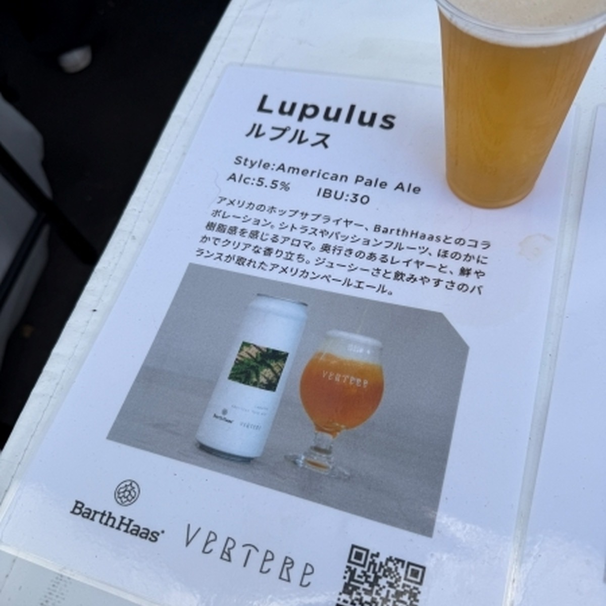 Lupulus（ルプルス）／American Pale Ale／5.5%（Barth Haasコラボ）
