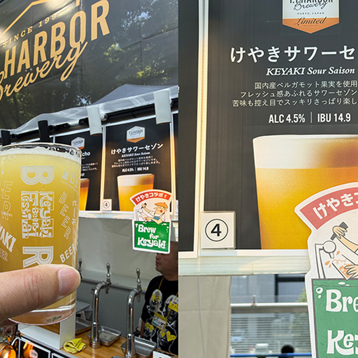 T.Y.HARBOR BREWERY けやきサワーセゾン（Sour Saison）4.5%