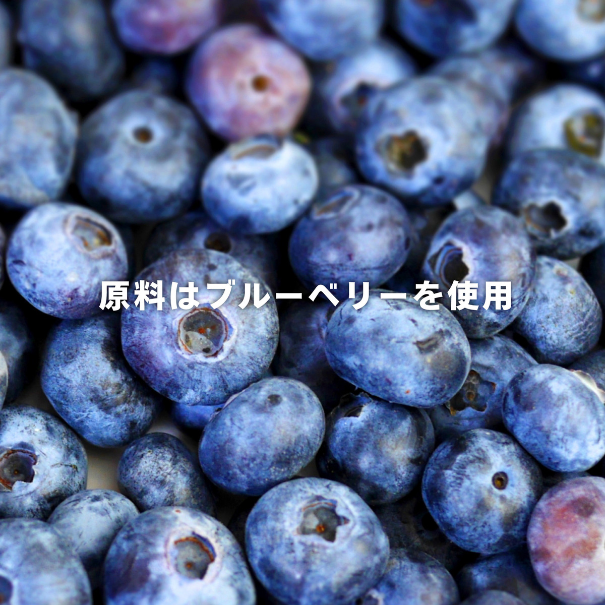 Teenage Brewingの一員として、オリジナルビールをつくる3ヶ月