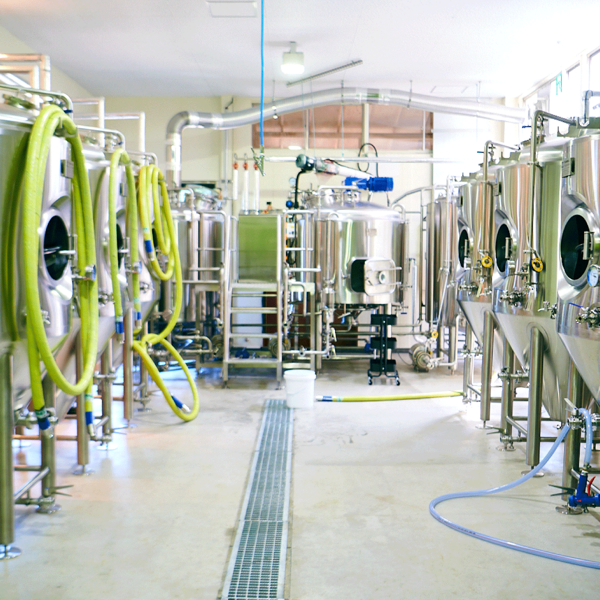 Teenage Brewingの一員として、オリジナルビールをつくる3ヶ月