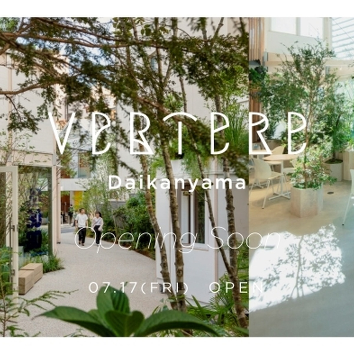 VERTERE、代官山に新たなタップルームをオープン。7月17日に「VERTERE Daikanyama Taproom」開業へ