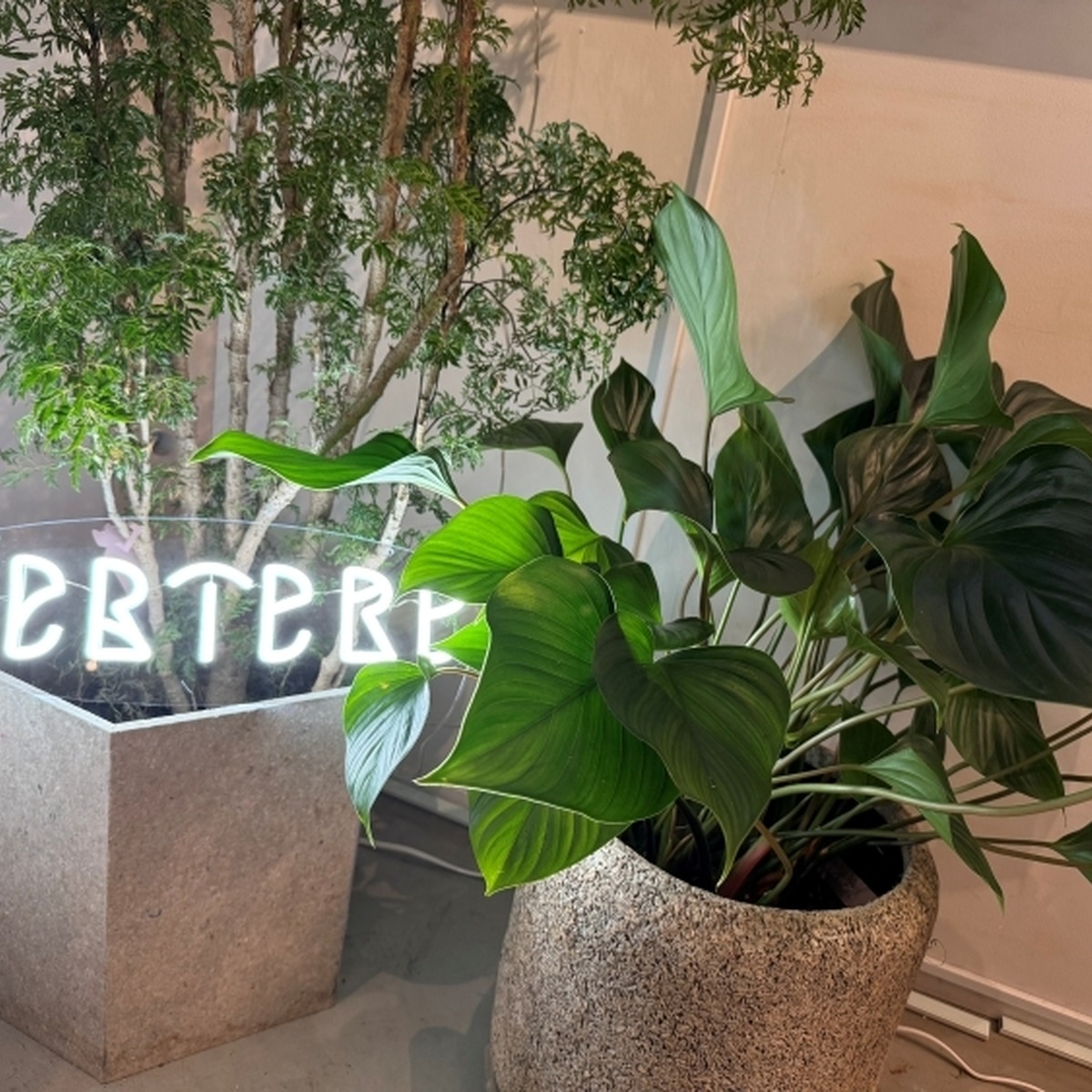 カウンター横の植栽にもネオンサイン
