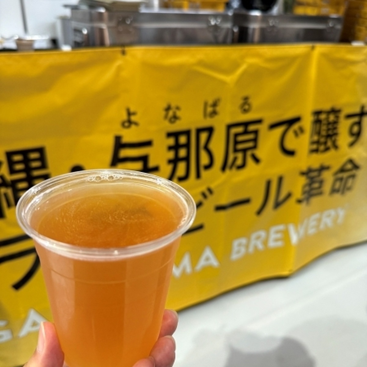 AGARIHAMA BREWERYDragon Sour Ale（Sour Ale／5.0%）