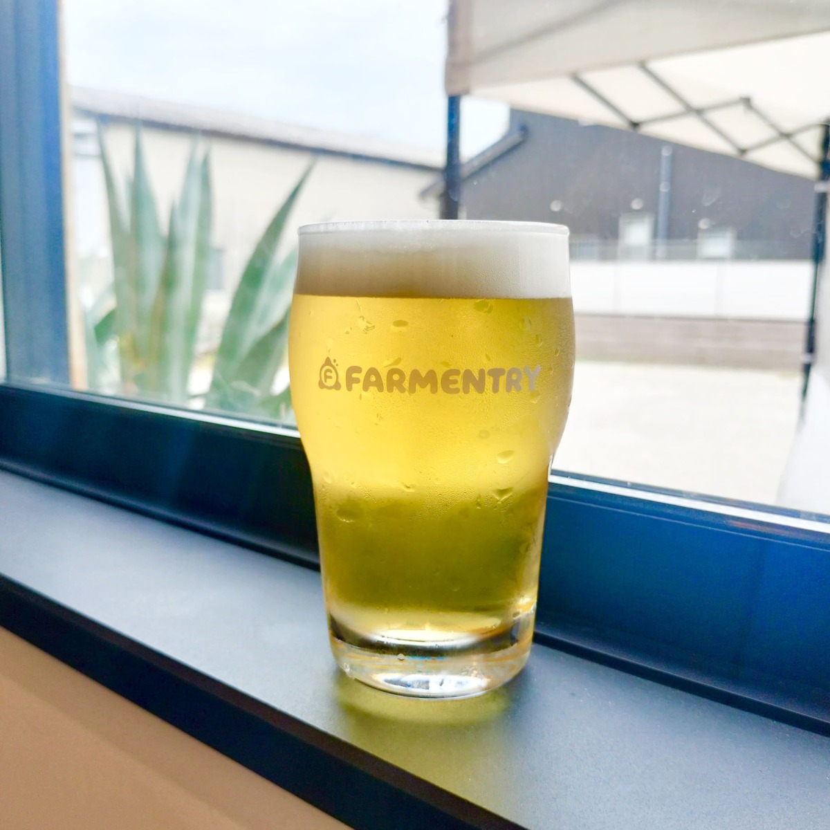 「SPECIAL HOUSE LAGER」 スタイル：Lager　/　アルコール度数：4.5%