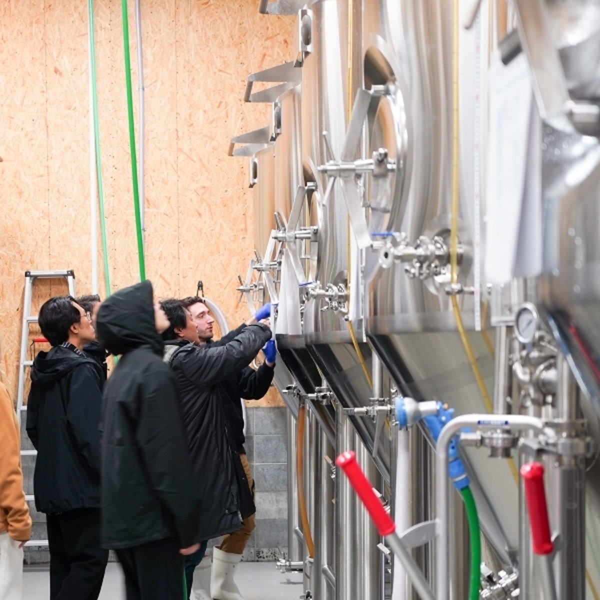 【11月1日～2日】OKUTAMA BEER FEST 2025 ─ 奥多摩で味わう、自然とクラフトの響宴