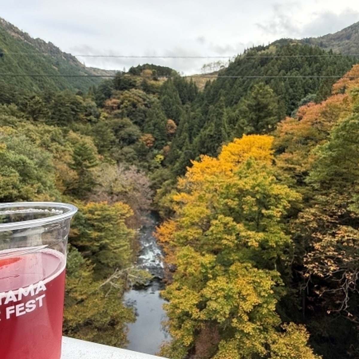 国道411号（青梅街道）橋の上