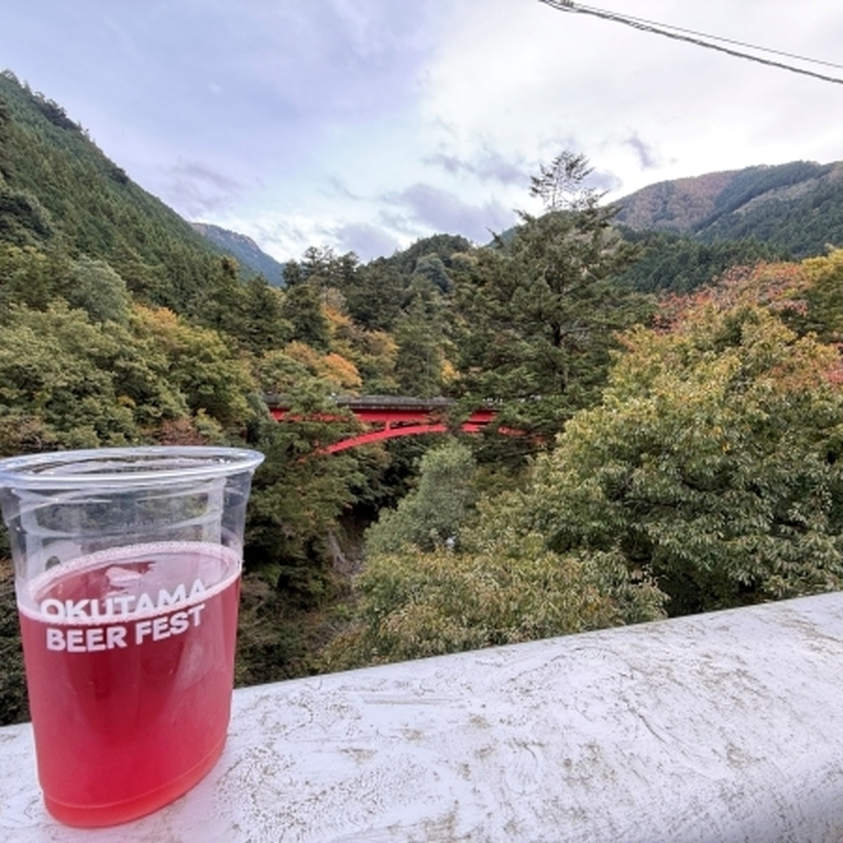 国道411号（青梅街道）橋の上