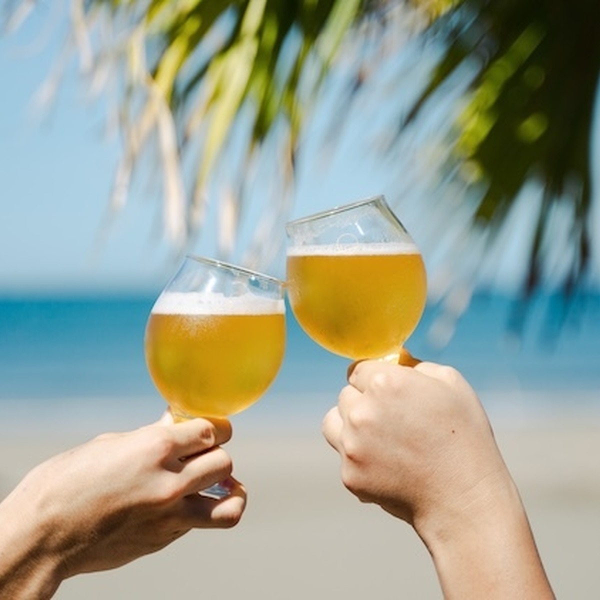 宮崎駅近くにノボルブルーイング直営店の新店舗「Yado」誕生