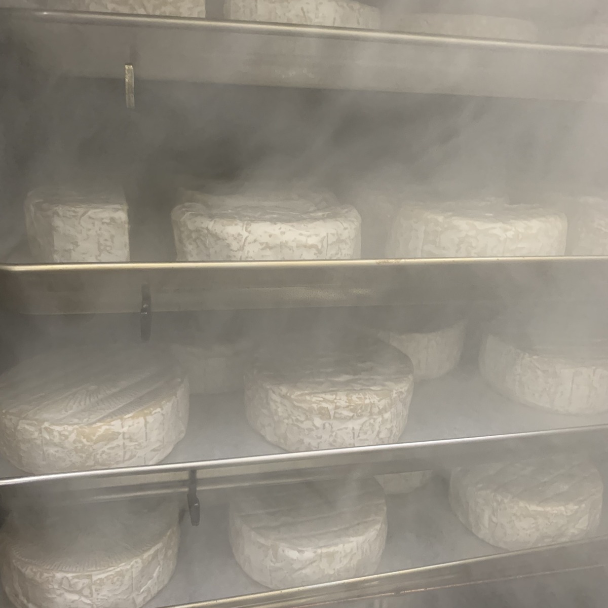 「NAMACHAん Brewing」とは？大塚発・豊島区初のクラフトビール醸造所が生まれた理由を代表が語る