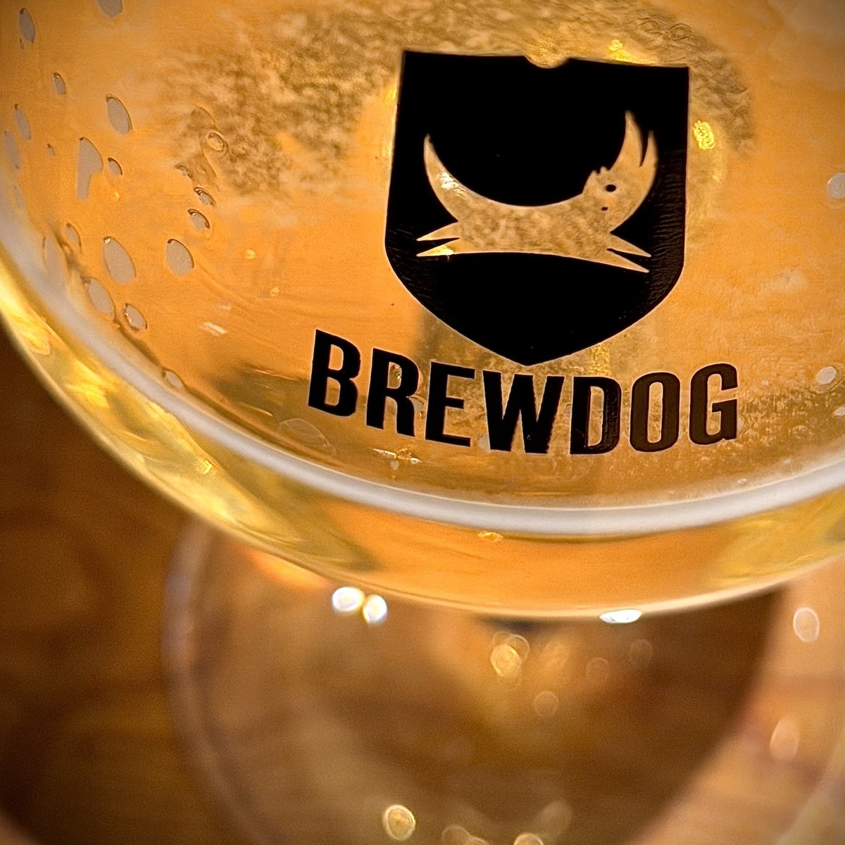 18時、Punk IPAはもう無かった。BrewDog Bar Roppongi「最後の夜」現場レポ