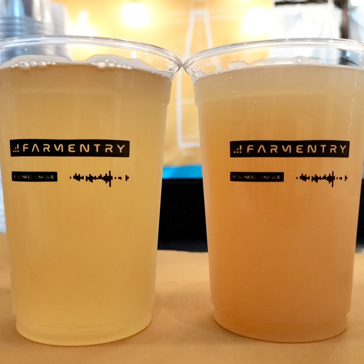 「JAPAN BREWERS CUP 2026」出店ブルワリーにインタビュー！【後編】open air/NOMCRAFT BREWING/NOVORU BREWING/FARMENTRY